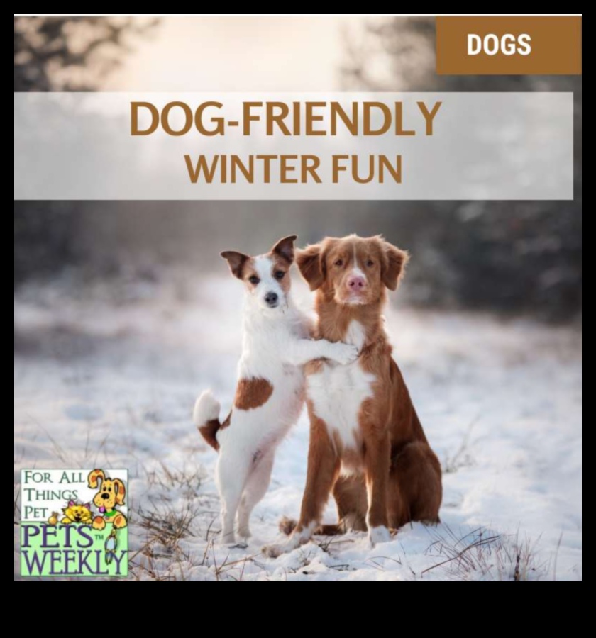 Pawsitively Playful: Activități captivante pentru animale de companie pentru Happy Tails