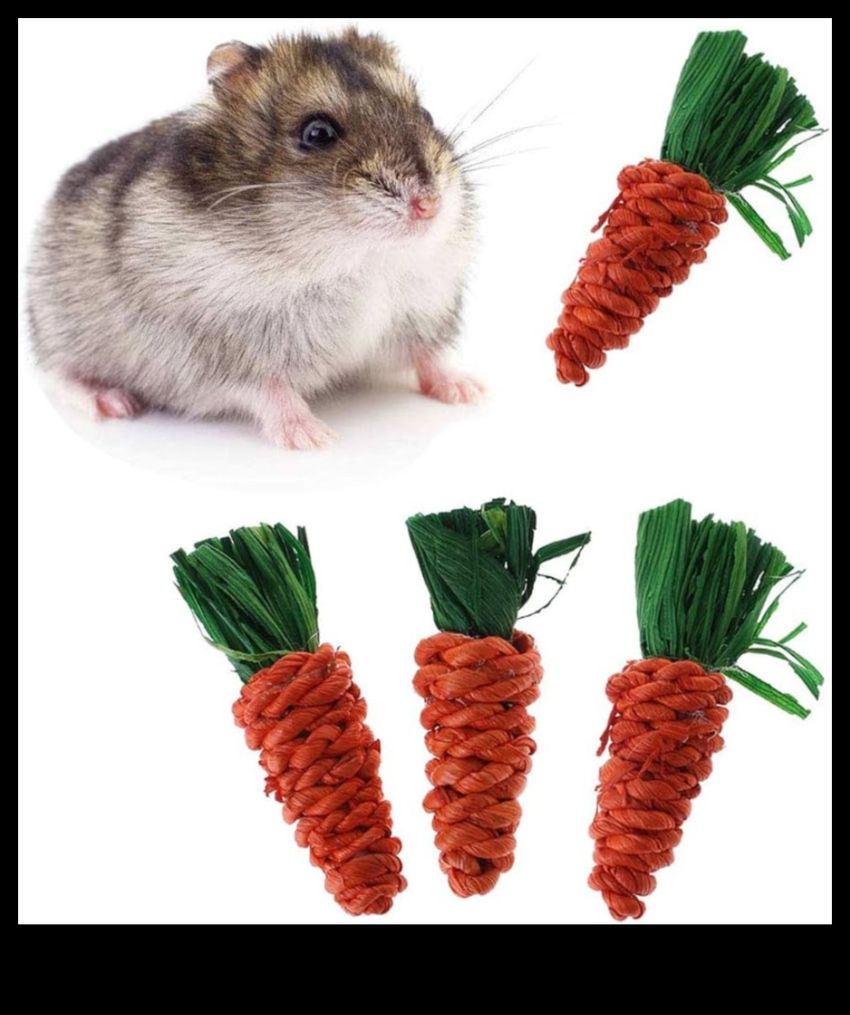 Hamster Dental Care a continuat să ofere opțiuni sigure de mestecat 2 Îngrijirea dentară a hamsterilor a continuat: Oferirea de opțiuni sigure de mestecat