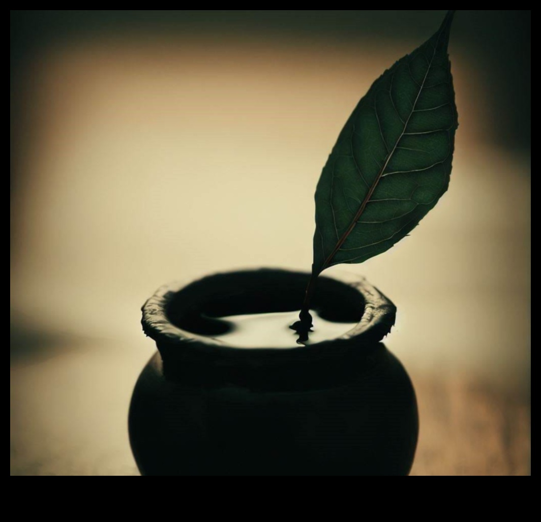 Atractia liniilor: crearea de contururi frumoase în cerneală