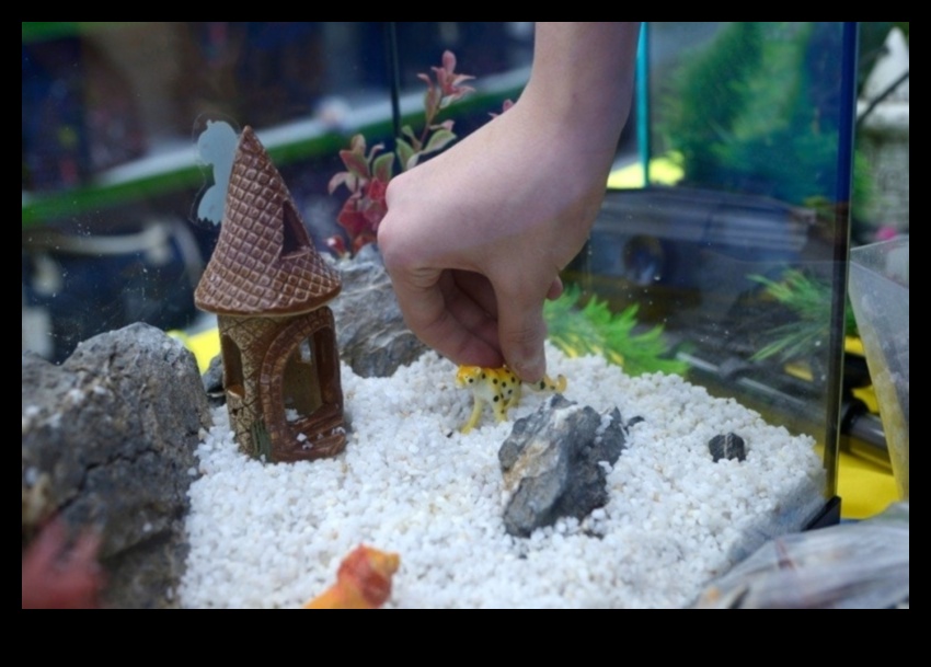 Decor și accesorii pentru acvarii pentru acvarii 3 Rezervor de pește DIY: decorare și accesorii pentru acvarii