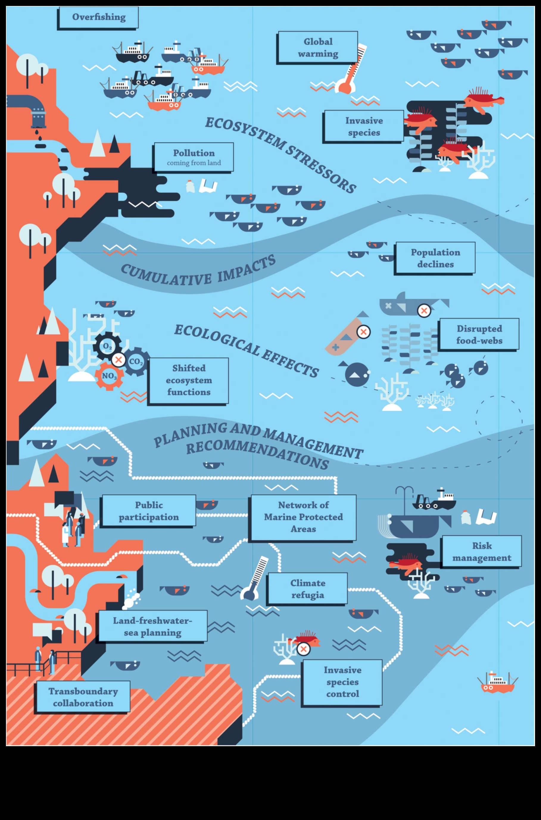Conservarea coastelor a continuat: strategii inovatoare pentru protecția oceanelor