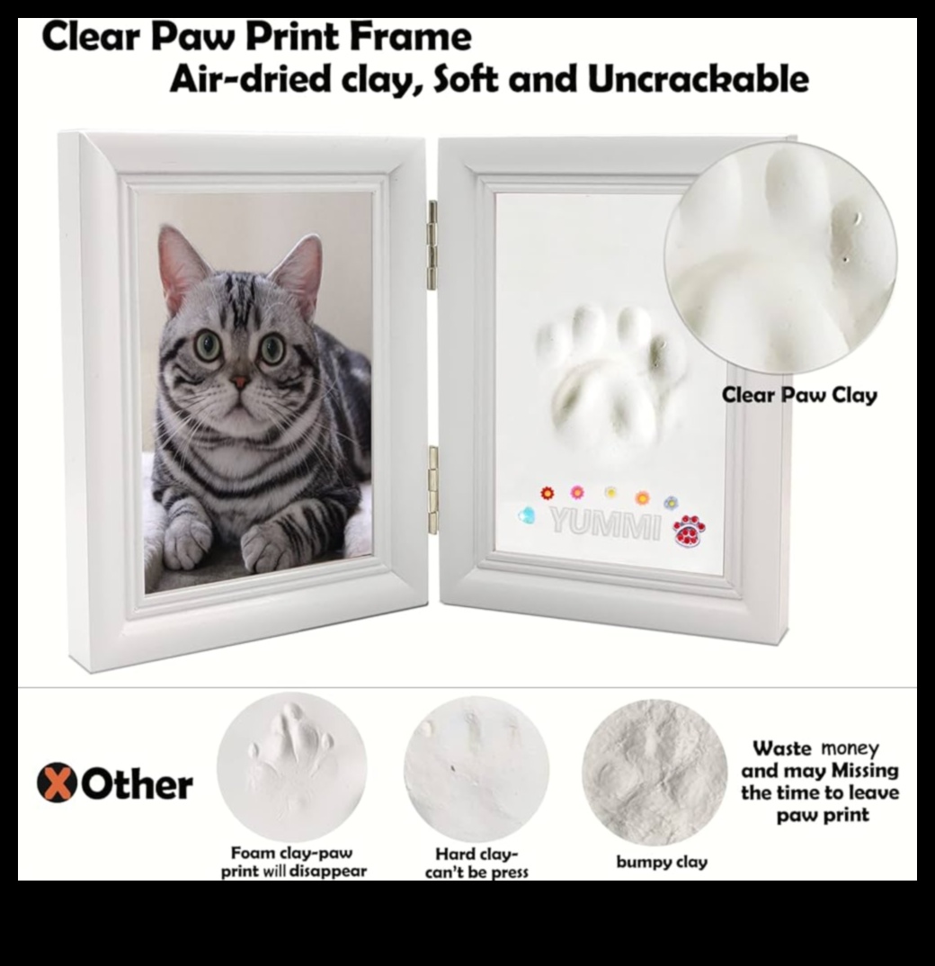 Paws and Print Crearea de suveniruri artistice cu pisica ta 5 Paws and Print: Crearea de suveniruri artistice cu pisica ta