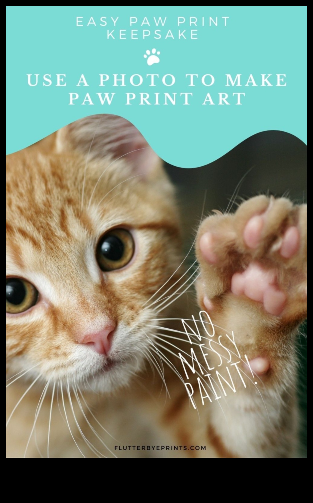 Paws and Print Crearea de suveniruri artistice cu pisica ta 4 Paws and Print: Crearea de suveniruri artistice cu pisica ta