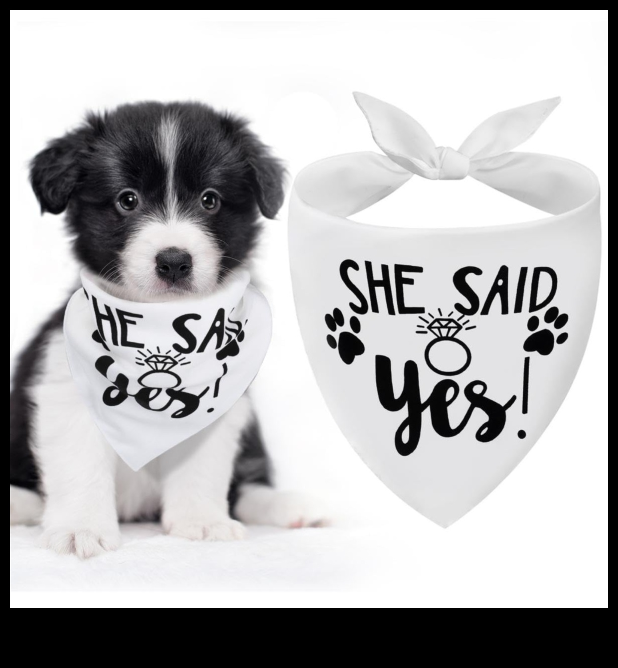 Doggy Decor Dazzle Cum să îmbunătățești stilul câinelui tău cu cele mai noi accesorii 5 Doggy Decor Dazzle: îmbunătățiți stilul câinelui dvs. cu cele mai recente accesorii