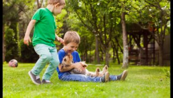 Pawsitively Playful: Activități captivante pentru animale de companie pentru Happy Tails