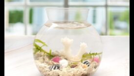 Rezervor de pește DIY: decorare și accesorii pentru acvarii