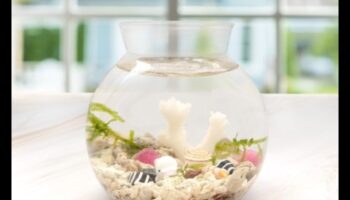 Rezervor de pește DIY: decorare și accesorii pentru acvarii