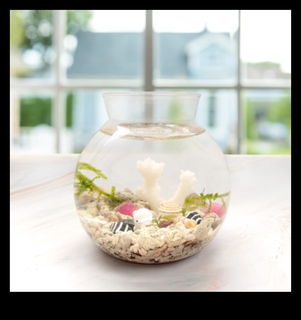 Decor și accesorii pentru acvarii pentru acvarii 1 Rezervor de pește DIY: decorare și accesorii pentru acvarii