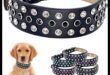 Doggy Decor Dazzle: îmbunătățiți stilul câinelui dvs. cu cele mai recente accesorii