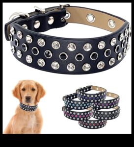 Doggy Decor Dazzle: îmbunătățiți stilul câinelui dvs. cu cele mai recente accesorii