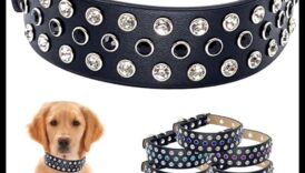 Doggy Decor Dazzle: îmbunătățiți stilul câinelui dvs. cu cele mai recente accesorii