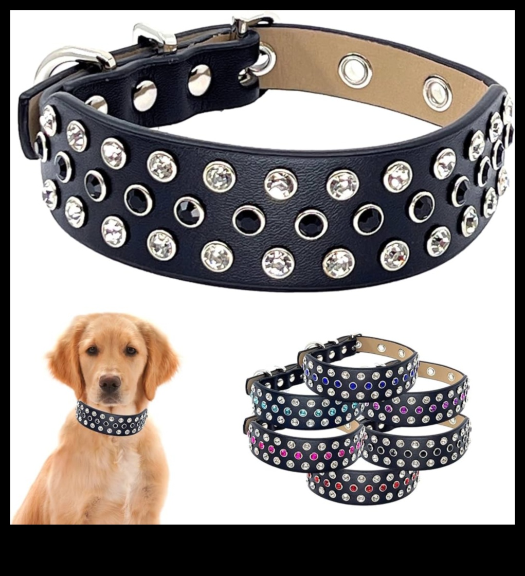 Doggy Decor Dazzle Cum să îmbunătățești stilul câinelui tău cu cele mai noi accesorii 1 Doggy Decor Dazzle: îmbunătățiți stilul câinelui dvs. cu cele mai recente accesorii