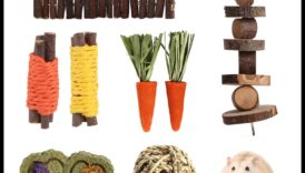 Îngrijirea dentară a hamsterilor a continuat: Oferirea de opțiuni sigure de mestecat