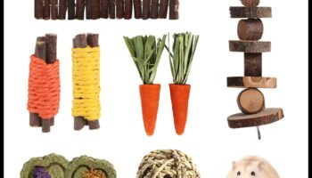 Îngrijirea dentară a hamsterilor a continuat: Oferirea de opțiuni sigure de mestecat