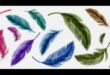 Paleta de penaj: culorile și modelele vibrante ale penelor de păsări