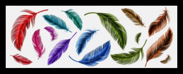 Paleta de penaj: culorile și modelele vibrante ale penelor de păsări