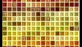 Paleta pescarului: un spectru de culori și modele de pește