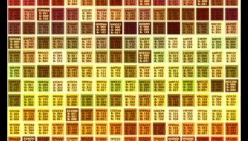 Paleta pescarului: un spectru de culori și modele de pește