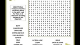 Puzzle-uri piscatoriale: fapte distractive și chestionare despre pește