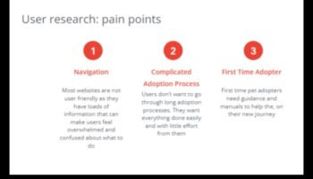 Rescue Realities: Navigarea prin procesul de adopție