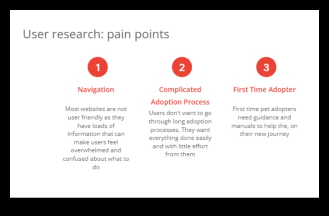 Rescue Realities: Navigarea prin procesul de adopție