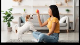 Stăpânirea elementelor de bază: sfaturi esențiale pentru îngrijirea animalelor de companie pentru începători